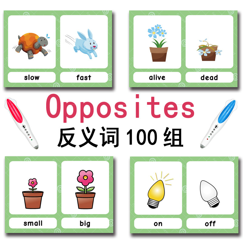 100 Gruppi di Carte Flash con  - Kids Education Toy recensione e prezzo