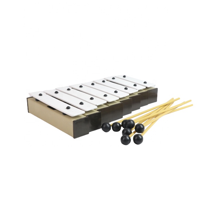 Orff Gong Xilofono Metallophon - Kids Education Help recensione e prezzo